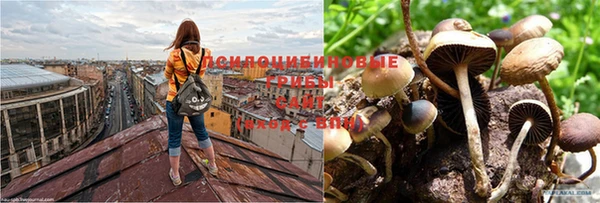 прущая мука Арсеньев