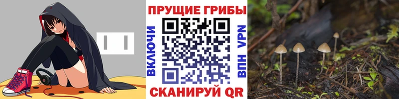 Псилоцибиновые грибы Magic Shrooms  Нижнеудинск 
